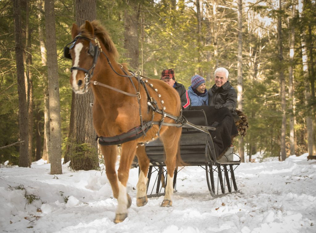 A man and a woman riding in the back of a horse-drawn sleigh through a snowy forest, smiling and laughing.
