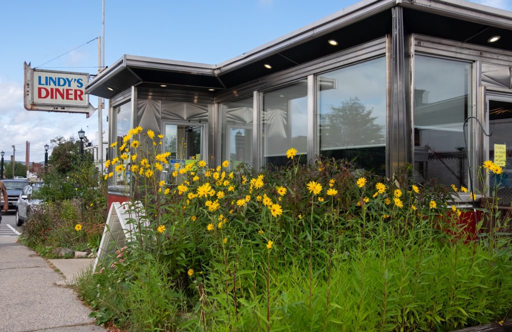 Lindy's Diner in Keene, a metal box of a building, with tall green weeds and yellow wildflowers growing in front.