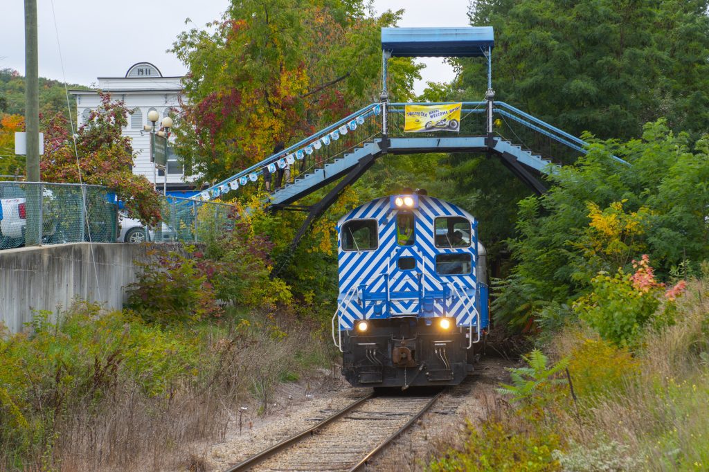 A blue and white-striped train barreling down a track beneath a blue bridge.