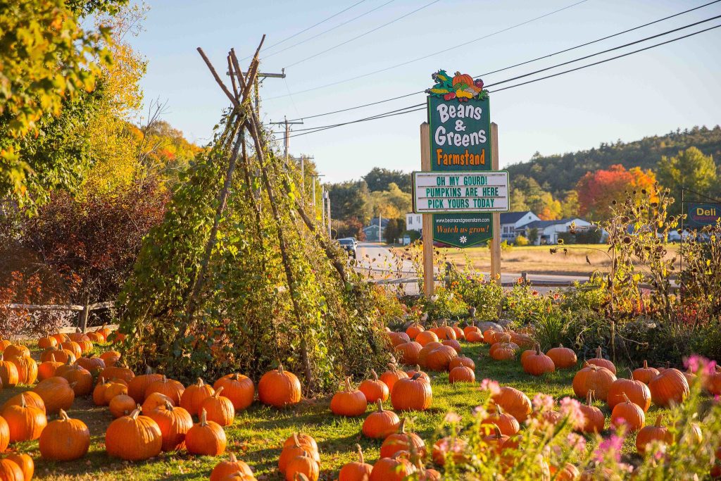 A farm with a sign reading "Beans & Greens." On the ground are a bale of hay and a few dozen pumpkins scattered about.