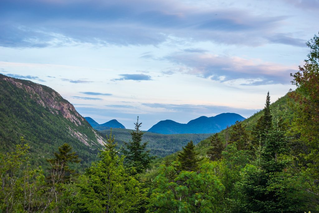 Views of blue mountains in the distance surrounded by greenery.