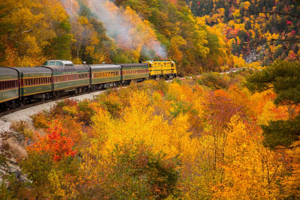 An old-fashioned train riding through a forest of orange leaves.