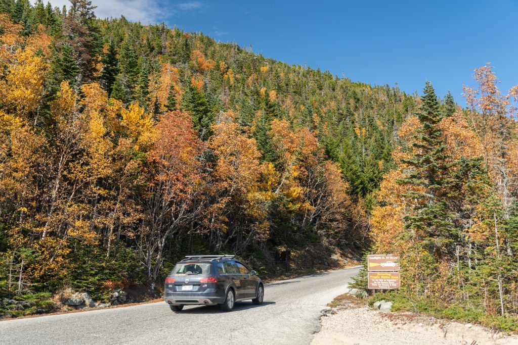 A car driving down a narrow paved road lined with bright orange and green trees.