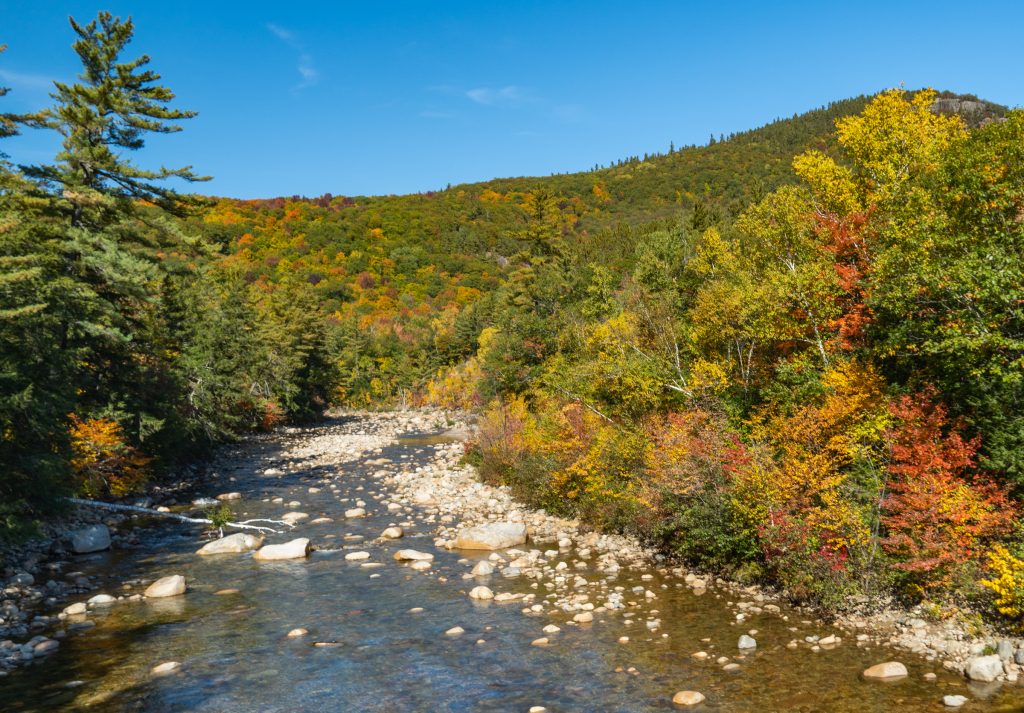 A rock-strewn river surrounded by trees changing from green to orange and gold.