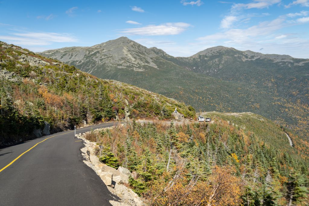 A road running past short scraggly trees that are about knee-height. More like bushes than trees.
